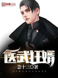 医武狂婿封面