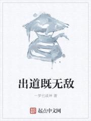 出道既无敌封面