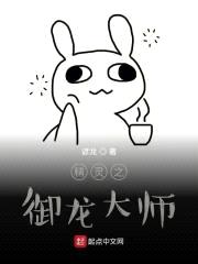 精灵之御龙大师封面