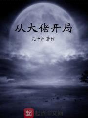 从大佬开局封面