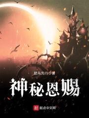 神秘恩赐封面