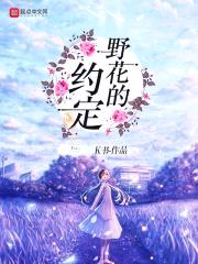 野花的约定封面