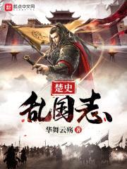 楚史乱国志封面