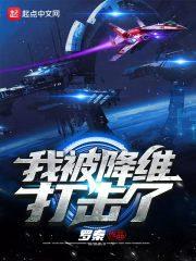 我被降维打击了封面