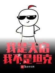 我是天启我不是坦克封面