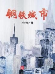 我的钢铁城市封面