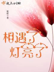 相遇了灯亮了封面