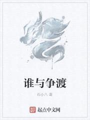 谁与争渡封面