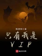只有我是VIP封面
