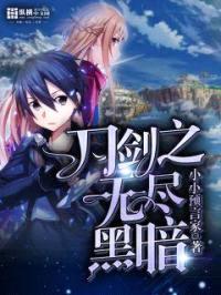 刀剑之无尽黑暗封面