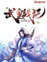 武皇战记封面