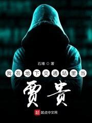 我在地下交通站里当贾贵封面