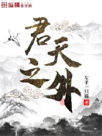 君天之外封面