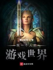 我一个人的游戏世界封面