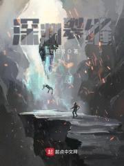 深渊裂缝封面
