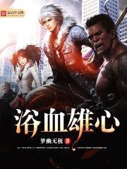 浴血雄心封面