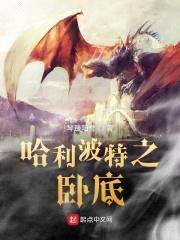 哈利波特之卧底封面