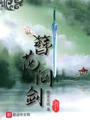 簪花问剑封面