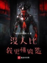 没人比我更懂锻造封面