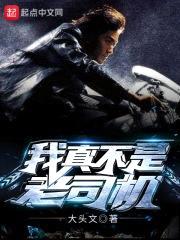 我真不是老司机封面
