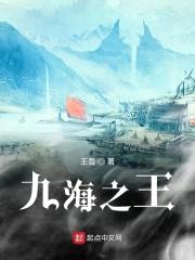九海之王封面