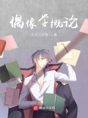偶像学概论封面