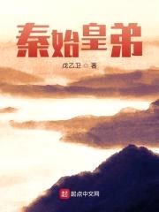 秦始皇弟封面