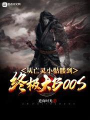 从亡灵小骷髅到终极大BOSS封面