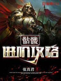 骷髅进阶攻略封面