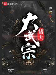 诸天大武宗封面
