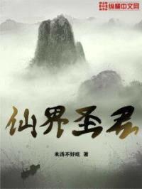 仙界圣君封面