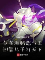 身在海贼想当王却靠儿子打天下封面