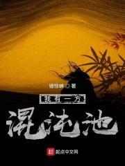 我有一方混沌池封面