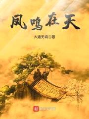 凤鸣在天封面