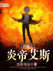 海贼之炎帝艾斯封面