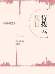 待拨云见日封面