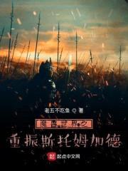 魔兽世界之重振斯托姆加德封面