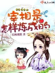 宰相是怎样炼成的封面