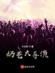奶爸大导演封面