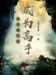 从杀猪开始成为高手封面