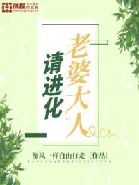 老婆大人请进化封面