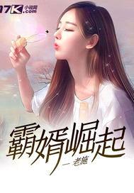 霸婿崛起封面