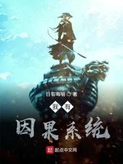 我有因果系统封面