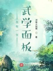 我有一张武学面板封面
