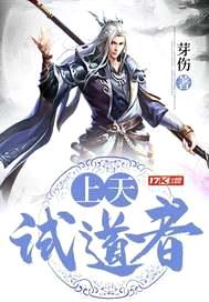 上天试道者封面