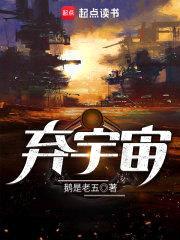 弃宇宙封面