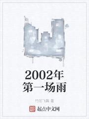 2002年第一场雨封面