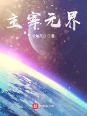 主宰元界封面