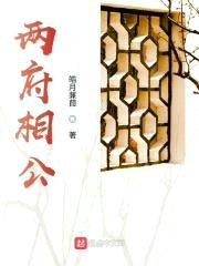两府相公封面