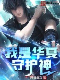 我是华夏守护神封面